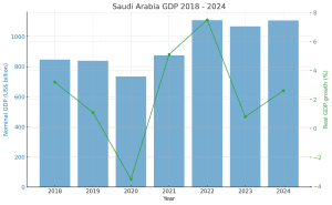 Vision 2030 program 