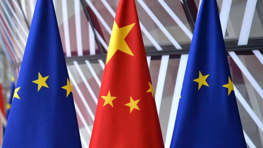 哪些行业最常将业务从中国扩展到欧洲？